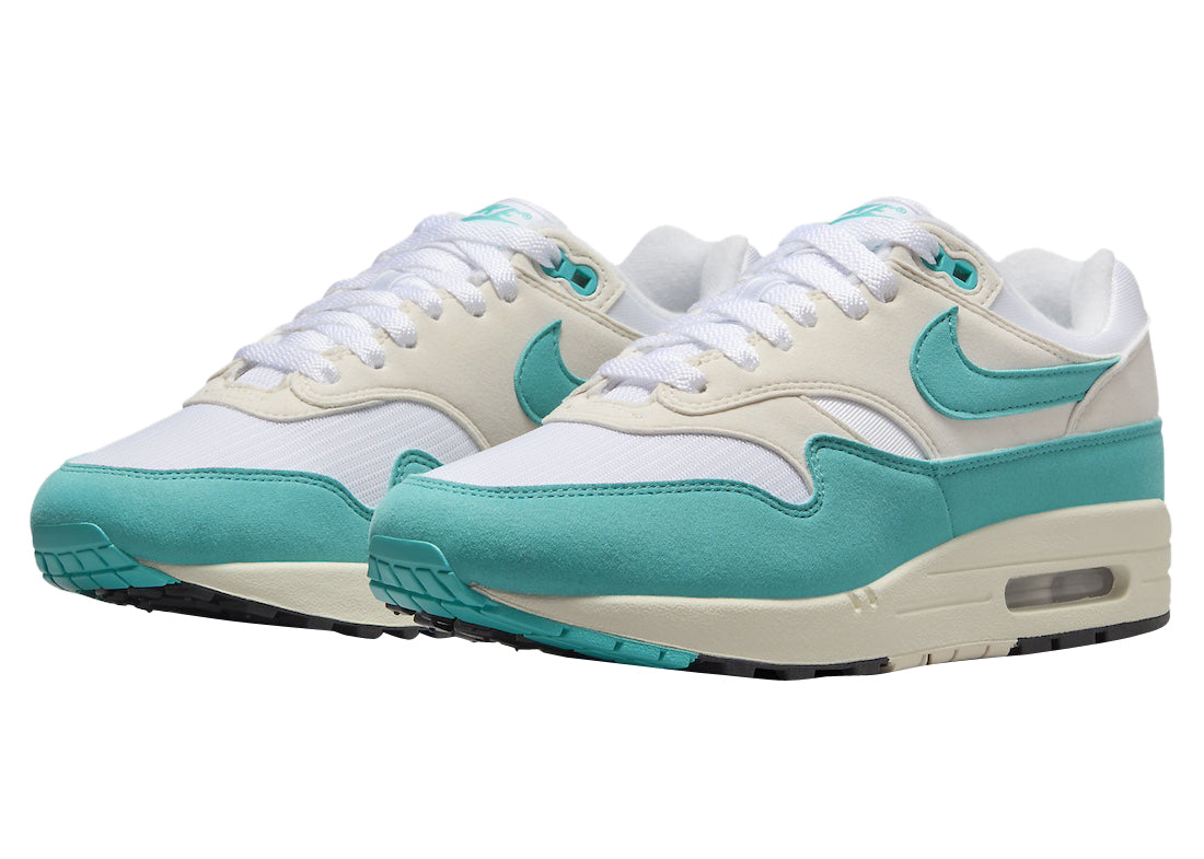 Nike Air Max 1 Dusty Cactus