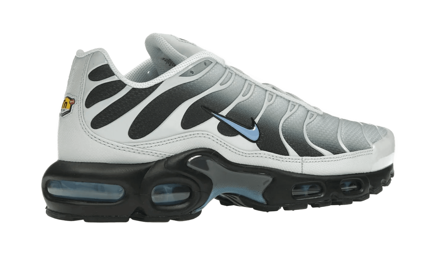 Nike Air Max Plus Grey University Blue Black - DM0032-015